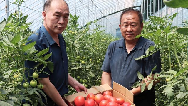 汤阴县人民检察院：驻村帮扶办实事，情系群众暖民心