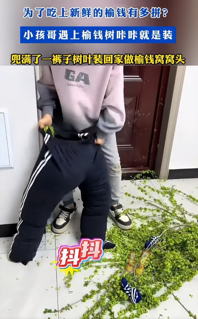 小孩哥为了吃上新鲜榆钱，竟将榆钱装满裤腿，老妈看了笑出泪