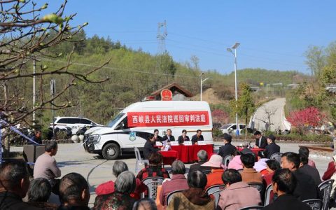 西峡法院：清明巡回审判失火案 以案释法筑牢防火屏障