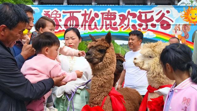 豫西大峡谷：焕新登场！邀你共赴萌趣与风雅之约