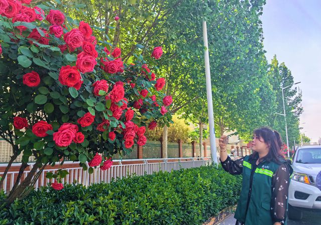 金水城管：全力筹备“五一”假期城市运行保障工作