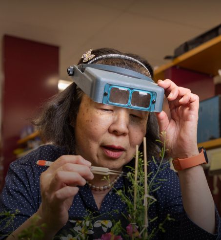 95岁屠呦呦，当选美国科学院外籍院士