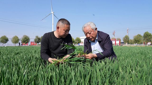 河南：抗旱浇水忙|4月以来已累计抗旱浇麦3090万亩次