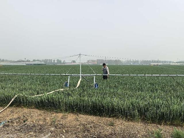 河南：抗旱浇水忙|4月以来已累计抗旱浇麦3090万亩次