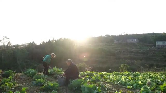 老两口为病故儿子还清17万欠款