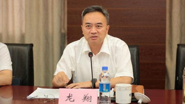 江苏省南京市人大常委会党组书记、主任龙翔被查