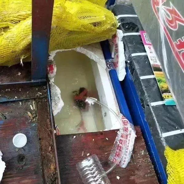 看完不敢喝了！这种街头饮品，千万别随便买！