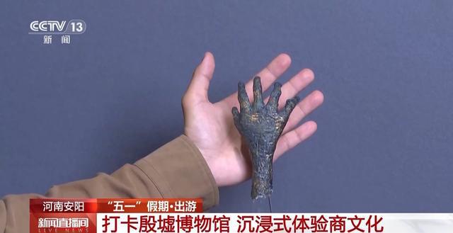 这个假期 很多人为一只“手”来河南