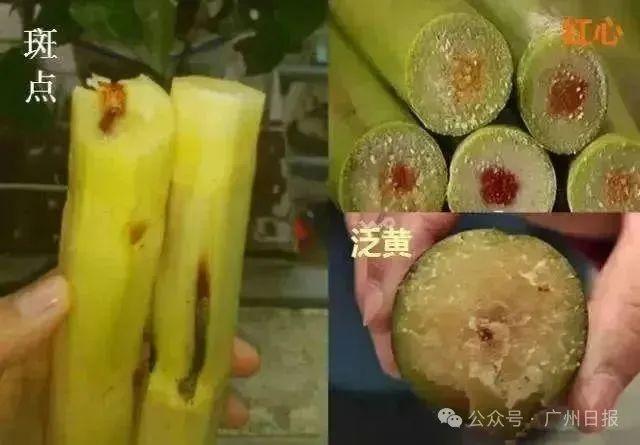 看完不敢喝了！这种街头饮品，千万别随便买！