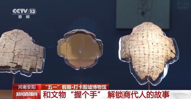 这个假期 很多人为一只“手”来河南