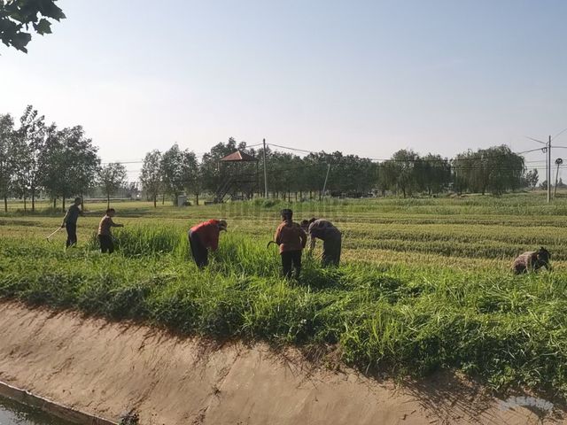 台前县侯庙镇：党建引领绘新景 环境整治焕生机