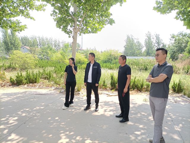 台前县侯庙镇：党建引领绘新景 环境整治焕生机