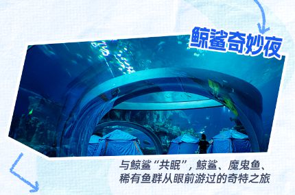 古墓探秘、做恐龙的守夜人……解锁今夏最火的“博物馆奇妙夜”