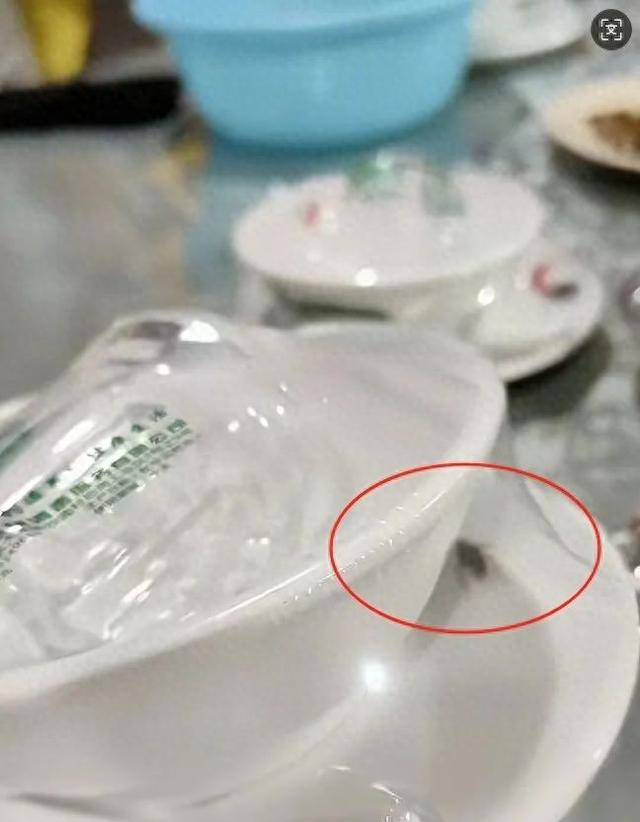 未拆封餐具里蟑螂乱爬！“烫碗”之争的背后……