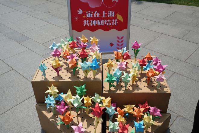 共建美丽家园，2025年上海民族宗教政策法规宣传学习月启幕