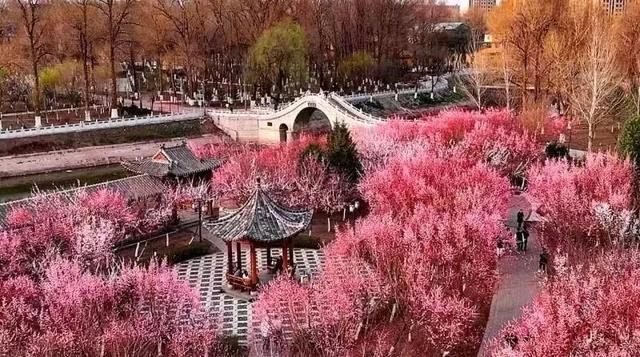 向南打卡，漫游长春