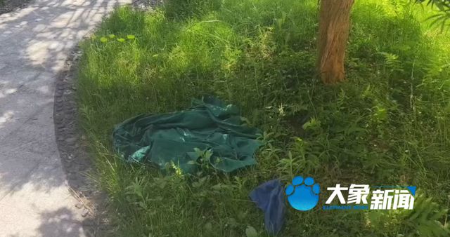 又一代孕机构被查！工作人员翻墙逃走，女子被麻醉躺在手术台