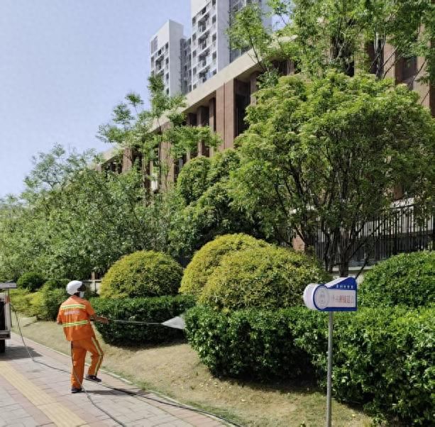 织密病虫害防护网，守护城市绿意