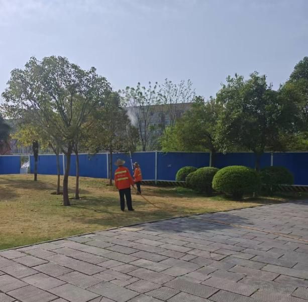 织密病虫害防护网，守护城市绿意