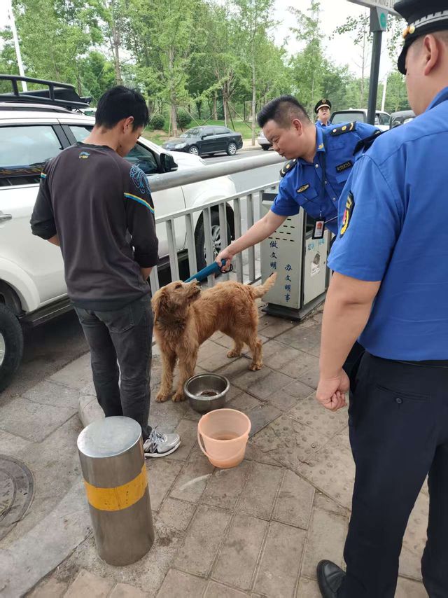 持续开展违规遛犬整治 助力城区文明建设