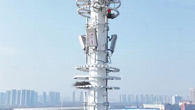 517电信日：郑州联通5G-A与万兆光网全面落地商用