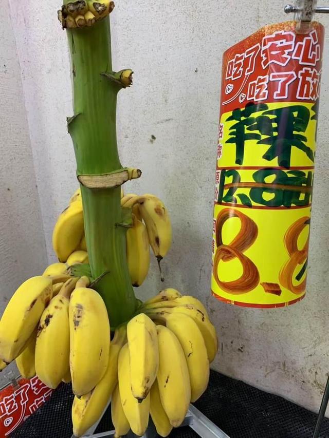 今年水果价格多数在降，香蕉却贵了一倍，为什么？