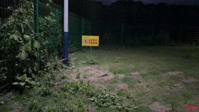 掉入化粪池遇难的大学生今日在老家下葬