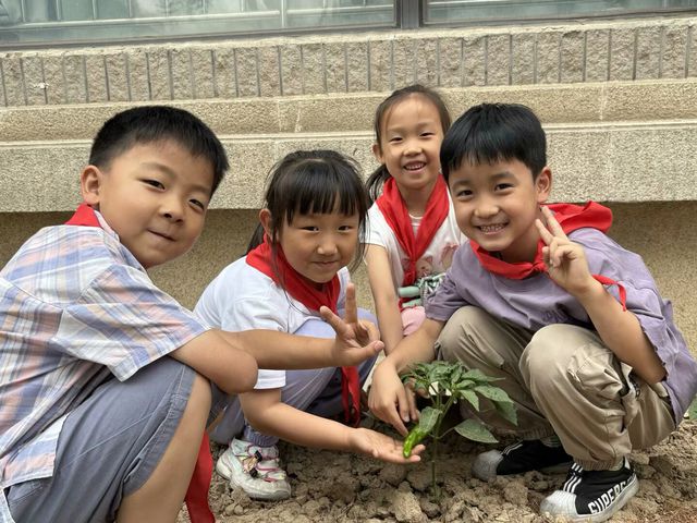 郑州高新区外国语小学：在劳动中领略自然之美，感悟人生哲理